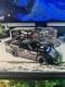 40 Year Scott Bloomquist 124 Late Model White Series Limited Edition