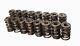 Comp Cams Valve Springs, 1.550 Dirt/late Model