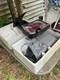 Late Model Gm Mirrors