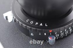 Late Model MINT Fujifilm Fujinon T 300mm F/8 Large Format Lens From JAPAN